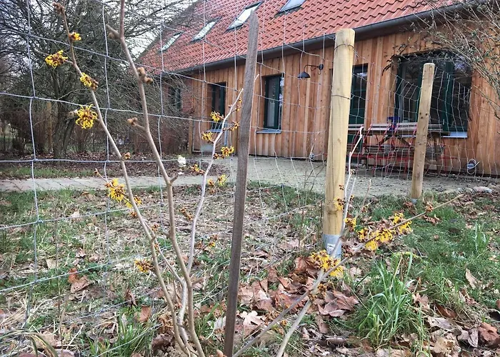 Broockhof Ferienwohnung Unterm Sternenhimmel In Mecklenburg