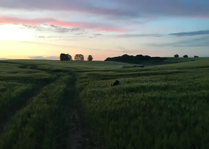 Broockhof Ferienwohnung Unterm Sternenhimmel In Mecklenburg